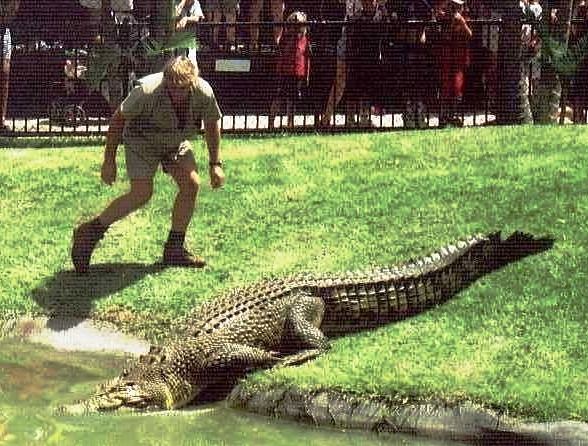 Steve Irwin at Australia Zoo with his crocadiles - CROCS RULE! Photo taken by Chrissy Layton, AusNotebook Music & Creative.